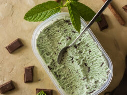 Mint and Chocolate Chip Ice Cream