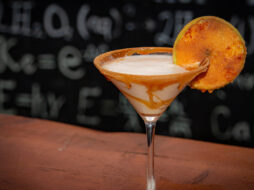 Apple Cinnamon Martini